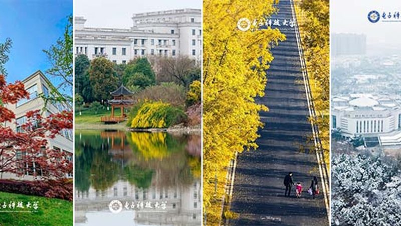 DIP插件加工材质分类解析：揭秘其背后的奥秘