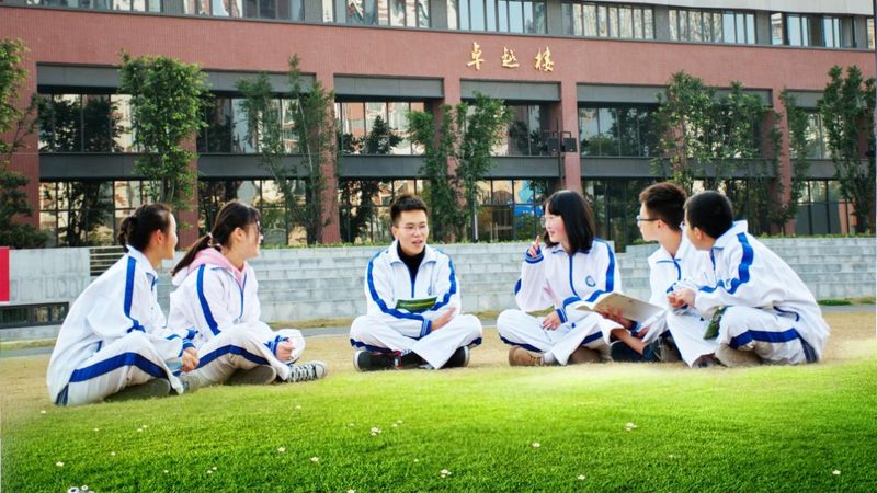 解码集成电路型号：揭秘查询技巧与要点
